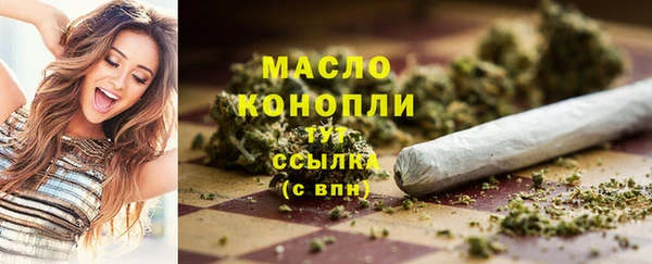 ешки Аркадак