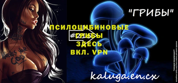 ешки Аркадак