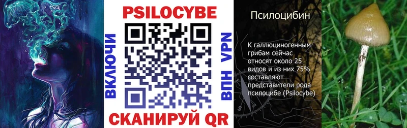 Купить закладки  Зубцов  Галлюциногенные грибы ЛСД 
